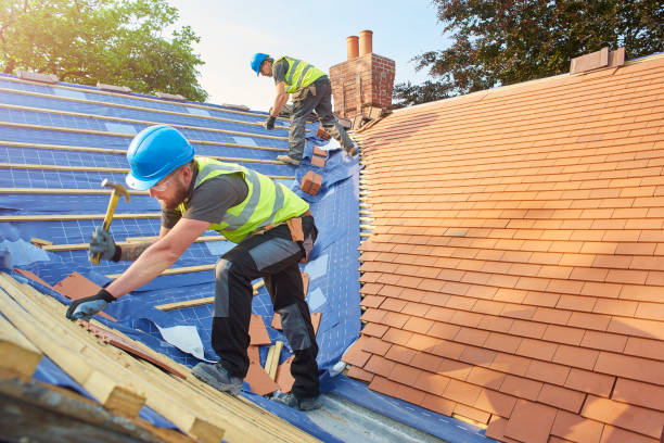 Best Skylight Installation and Repair  in Fircrest, WA